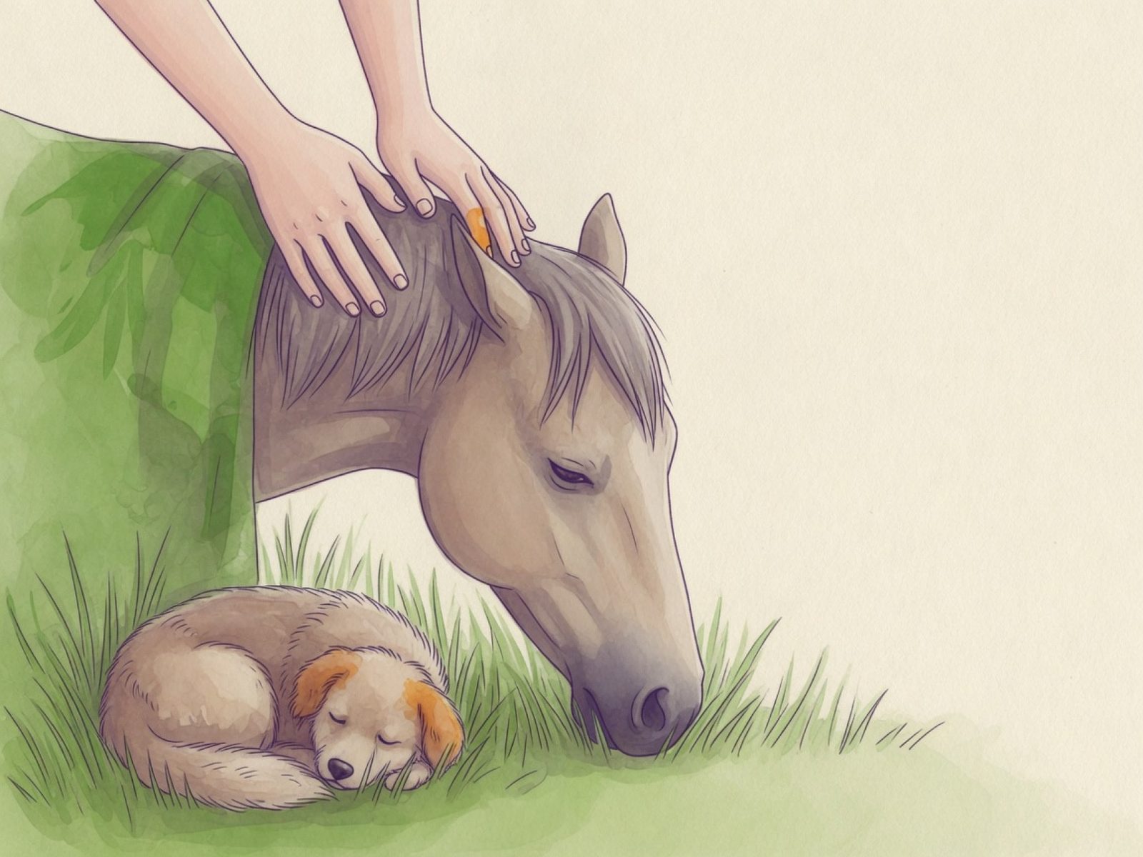 Des mains posées sur la tête d'un cheval calme dans un pré, un petit chien endormi dans l'herbe